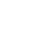 vision 1.png
